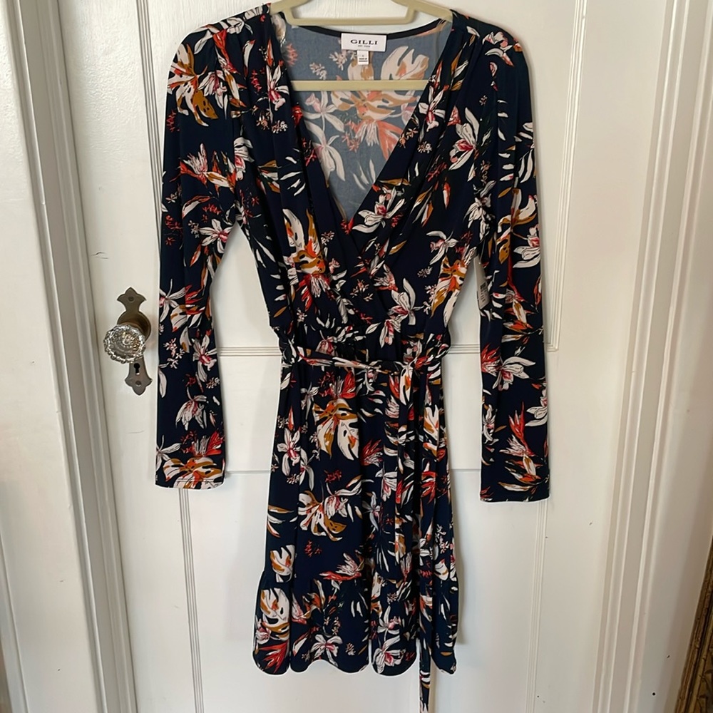 NWT Gorgeous dress by Gilli